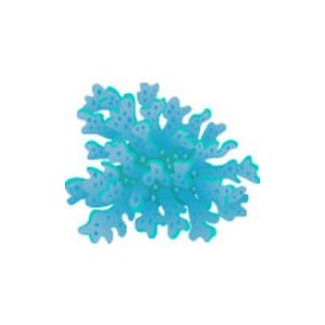 Blue Rainbow Coral